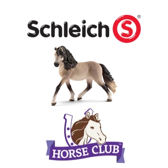 Horse Club
