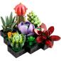 Preview: 10309 | Succulents