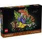 Preview: 11505 | Woodland Mushrooms