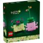 Preview: 11506 | Rocking Plants