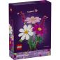 Preview: 11514 | Cosmos Flowers