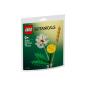 Preview: 30701 | Field Flowers (Paper Bag)