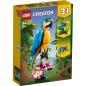 Preview: 31136 | Exotic Parrot