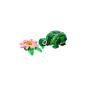 Preview: 31377 | Turtle With a Water Lily Flower