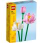 Preview: 40647 | Lotus Flowers