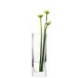 Preview: L.S.A. | G857-30-301 | Modular Vase H 30 cm