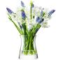 Preview: L.S.A. | G602-13-301 | Flower Bouquet Vase Ø 13 cm