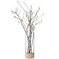 Preview: L.S.A. | G1040-62-301 | Lotta Vase H 62 cm