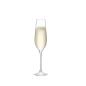 Preview: L.S.A. | G1203-07-301 | Cellar Champagne Flute 235 ml Set of 6 Pieces