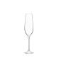 Preview: L.S.A. | G1203-07-301 | Cellar Champagne Flute 235 ml Set of 6 Pieces