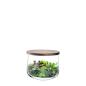 Preview: L.S.A. | G1239-21-301 | City Bar Bowl & Walnut Lid Ø 22 cm