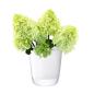 Preview: L.S.A. | G775-18-391 | Otto Vase H 18 cm