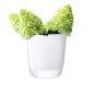 Preview: L.S.A. | G775-27-391 | Otto Vase H 27 cm