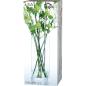 Preview: L.S.A. | G330-42-992 | Column Vase H 42 cm