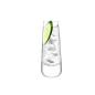 Preview: L.S.A. | G1501-11-170 | Bar Culture Long Drink Glass 310 ml Set of 2 Pieces