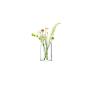 Preview: L.S.A. | G1574-42-301 | Stems Vase 42cm