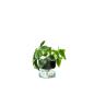 Preview: L.S.A. | G1579-13-161 | Canopy Self Watering Planter Vase 13cm