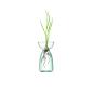Preview: L.S.A. | G1583-00-161 | Canopy Trio Vase Set of 3 Pieces