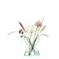 Preview: L.S.A. | G1585-24-161 | Canopy Vase 24cm