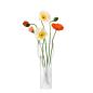 Preview: L.S.A. | G1602-35-156 | Mist Vase 35 cm