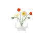 Preview: L.S.A. | G1604-19-156 | Mist Vase 19 cm