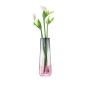 Preview: L.S.A. | G1400-20-152 | Dusk Vase 20 cm
