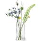 Preview: L.S.A. | G1625-29-304 | Gio Line Lantern / Vase 29 cm