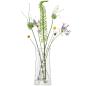Preview: L.S.A. | G1625-38-304 | Gio Line Lantern / Vase 38 cm