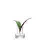 Preview: L.S.A. | G1629-23-301 | Metropole Vase 23 cm