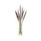 Preview: L.S.A. | G1645-20-148 | Wicker Vase 20 cm