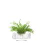 Preview: L.S.A. | G1617-03-301 | Rotunda Wide Vase H 14 cm