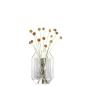 Preview: L.S.A. | G1617-11-301 | Rotunda Lantern or Vase H 26 cm