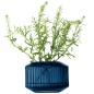 Preview: L.S.A. | G1655-07-610 | Rotunda Tealight Holder/Vase H7 cm Sapphire