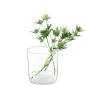Preview: L.S.A. | G1673-16-139 | Market Planter/Vase/Lantern H16 cm Clear