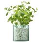Preview: L.S.A. | G1587-13-161 | Canopy Planter H13,5 cm Recycled