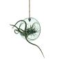 Preview: L.S.A. | G1696-12-161 | Canopy Hanging Planter ø 12 cmRecycled