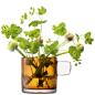 Preview: L.S.A. | G1708-09-137 | Handle Tealight Holder H9 cm Amber
