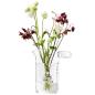 Preview: L.S.A. | G1709-18-148 | Wicker Jug 500 ml Clear