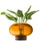 Preview: L.S.A. | G1718-19-835 | Oblate Vase/Lantern H19,5 cm/Ø28 cm Amber/Walnut **