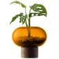 Preview: L.S.A. | G1718-13-835 | Oblate Vase H13,5 cm/ø 15 cm Amber/Walnut **