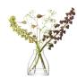 Preview: L.S.A. | G1721-16-301 | Flower Kiln Vase H16 cm Clear