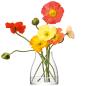 Preview: L.S.A. | G1721-21-301 | Flower Kiln Vase H21 cm Clear