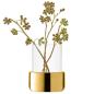 Preview: L.S.A. | G1746-20-358 | Aurum Lantern/Vase H20cm Clear/Gold