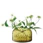 Preview: L.S.A. | G1756-10-387 | Dapple Vase H10.5cm Woodland Green