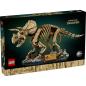 Preview: 77985 | Dinosaur Fossils: Triceratops