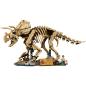 Preview: 77985 | Dinosaur Fossils: Triceratops