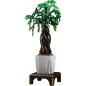Preview: 10063S | Money Tree