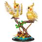 Preview: 10150 | Black-capped Lory