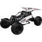 Preview: 18001S | Desert Racing