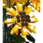 Preview: 24111 | Sunflower 2